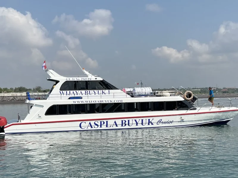Wijaya Buyuk 01